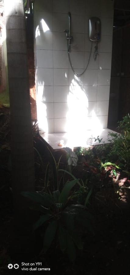 Jungle Of Peace Resort シキホール エクステリア 写真